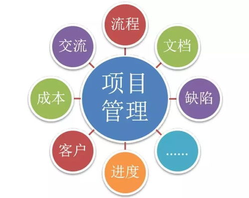 商业综合体管理服务的多项目管理 策略、工具与实践